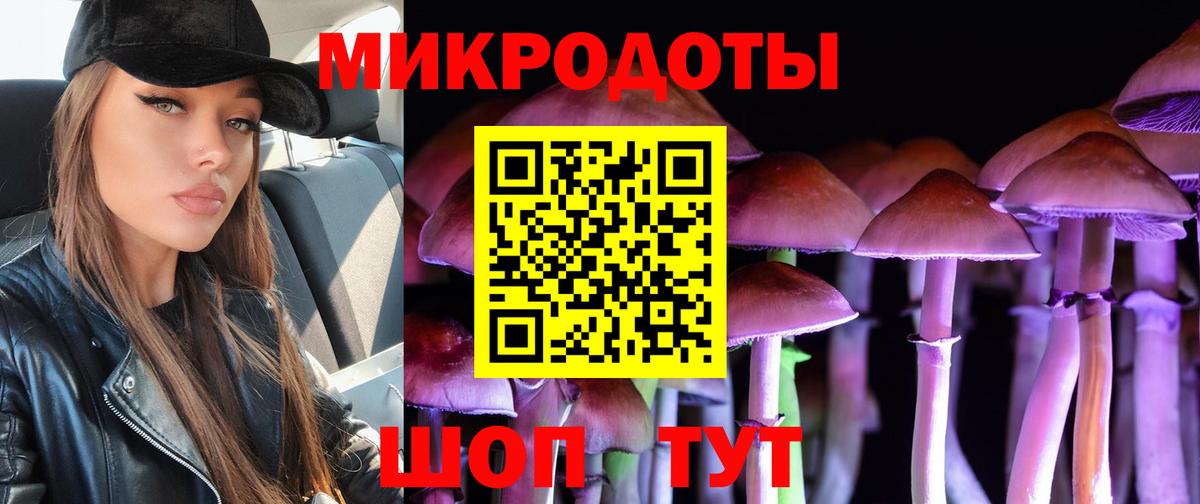 Псилоцибиновые грибы прущие грибы  Псилоцибиновые грибы Cubensis  Вход с VPN  Клинцы 